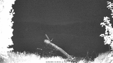 Image from 2024-10-08
