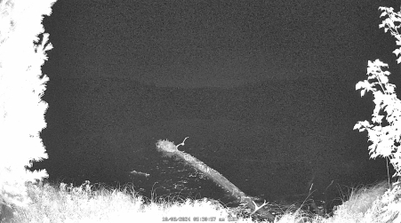 Image from 2024-10-08