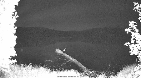 Image from 2024-10-08
