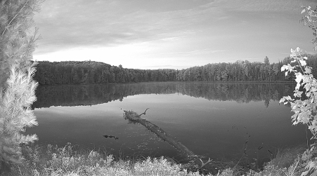 Image from 2024-10-08