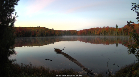 Image from 2024-10-08
