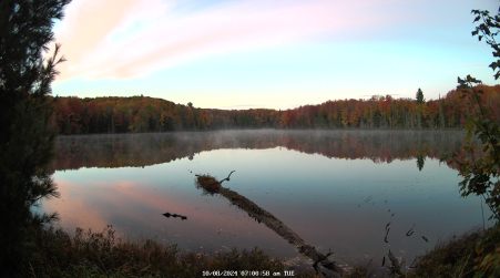 Image from 2024-10-08