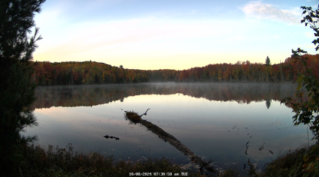 Image from 2024-10-08