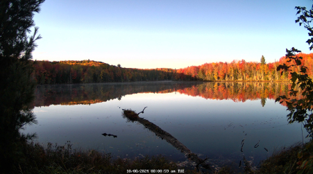 Image from 2024-10-08