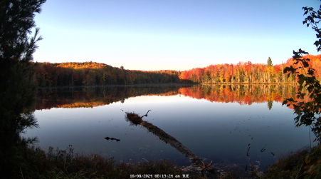 Image from 2024-10-08