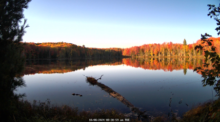 Image from 2024-10-08