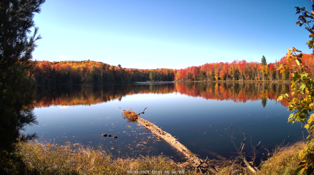 Image from 2024-10-08