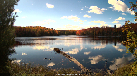 Image from 2024-10-08