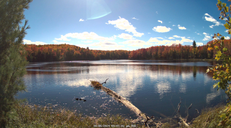 Image from 2024-10-08
