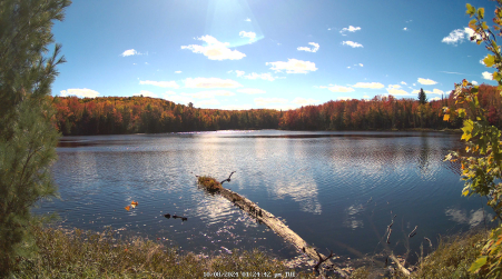 Image from 2024-10-08