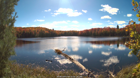 Image from 2024-10-08