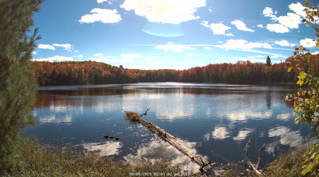 Image from 2024-10-08