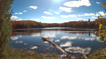 Image from 2024-10-08