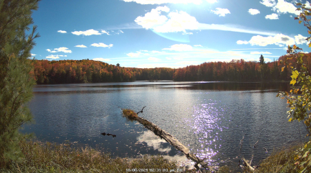 Image from 2024-10-08