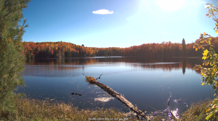 Image from 2024-10-08