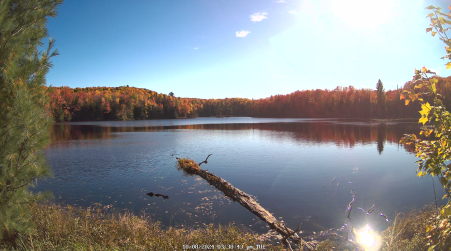 Image from 2024-10-08