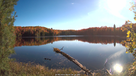 Image from 2024-10-08