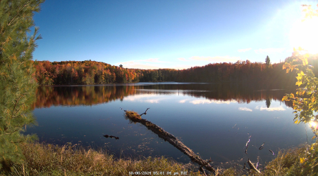 Image from 2024-10-08