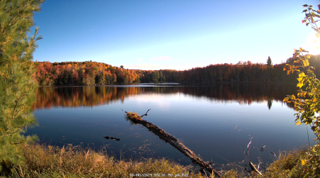 Image from 2024-10-08