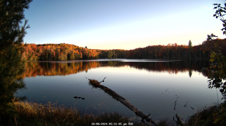 Image from 2024-10-08