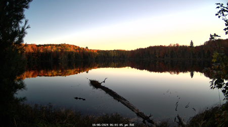 Image from 2024-10-08