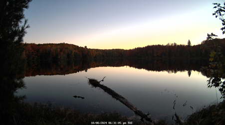 Image from 2024-10-08