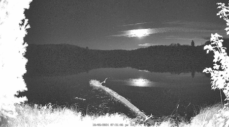 Image from 2024-10-08