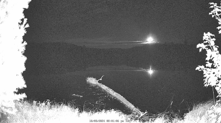 Image from 2024-10-08