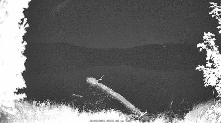 Image from 2024-10-08
