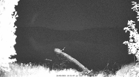 Image from 2024-10-08