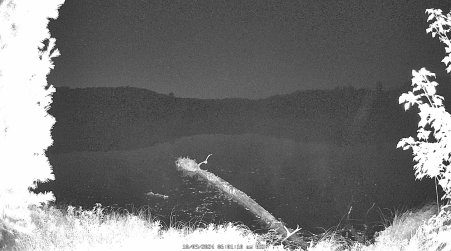 Image from 2024-10-09