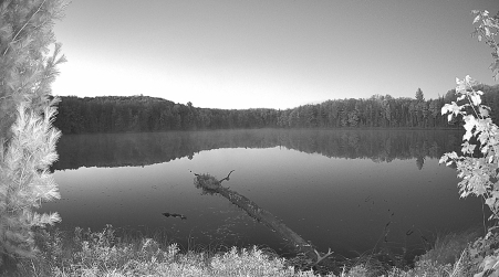 Image from 2024-10-09