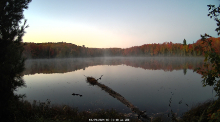 Image from 2024-10-09