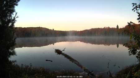 Image from 2024-10-09