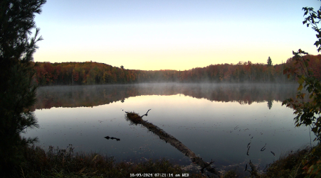 Image from 2024-10-09