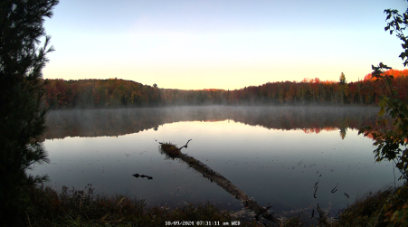 Image from 2024-10-09