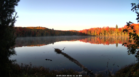 Image from 2024-10-09
