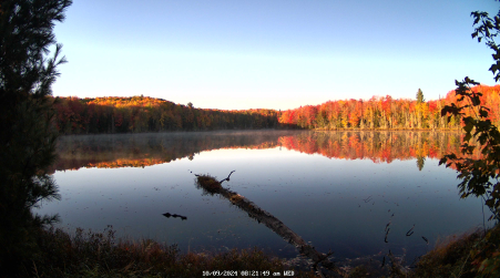 Image from 2024-10-09