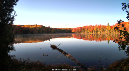 Image from 2024-10-09
