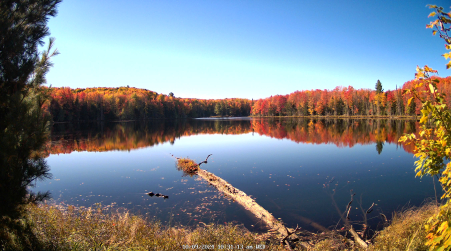 Image from 2024-10-09