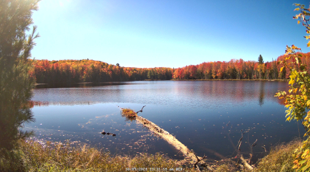 Image from 2024-10-09