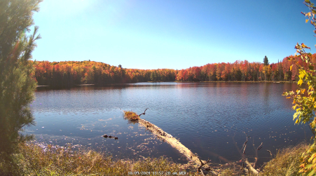Image from 2024-10-09