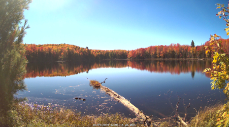 Image from 2024-10-09