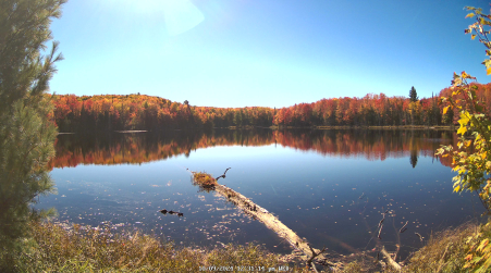 Image from 2024-10-09