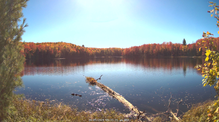 Image from 2024-10-09