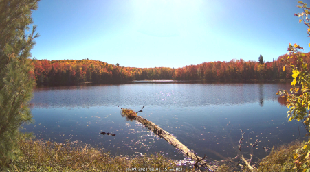 Image from 2024-10-09