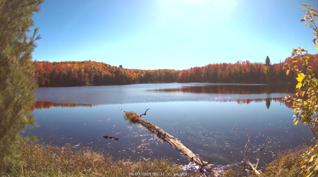 Image from 2024-10-09