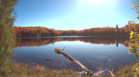 Image from 2024-10-09