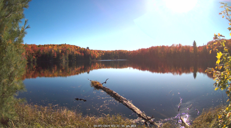 Image from 2024-10-09
