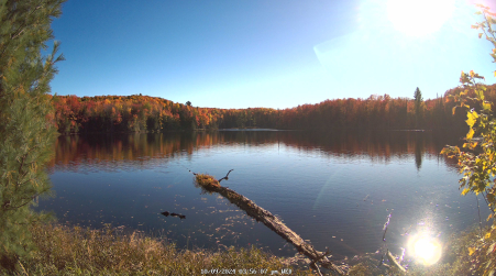 Image from 2024-10-09